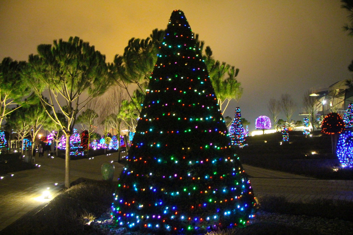 Новогодняя елка в Парке Облаков в Парке Галицкого.  Здесь и далее фото ЯСНО