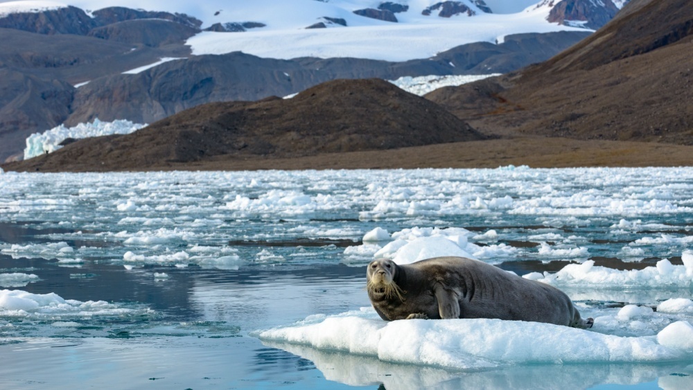     Фото: Andries Combrinck/Shutterstock/FOTODOM