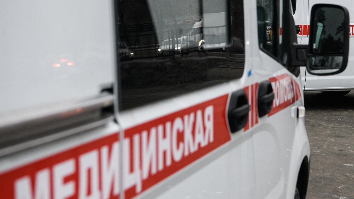    Фото: Ilya Moskovets/globallookpress.com