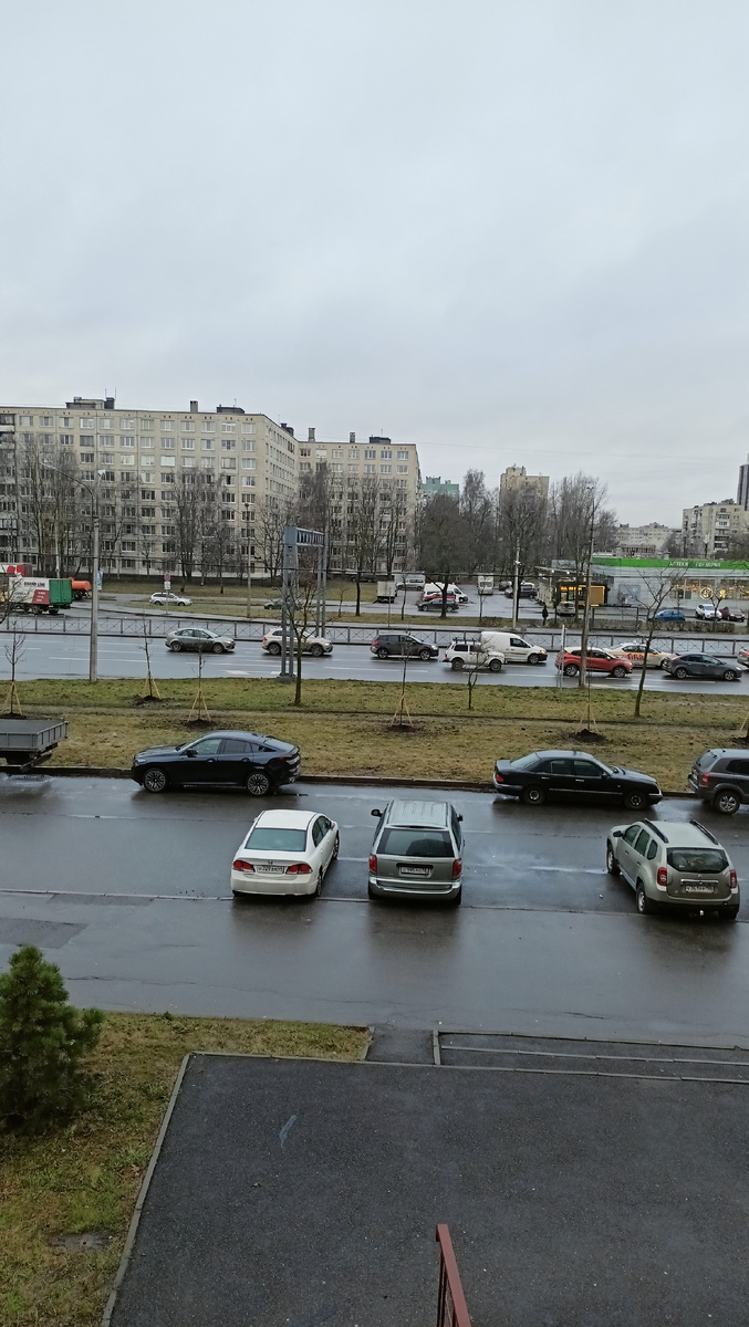 Фото автора. 17.12.25г СПб. 11, 07.