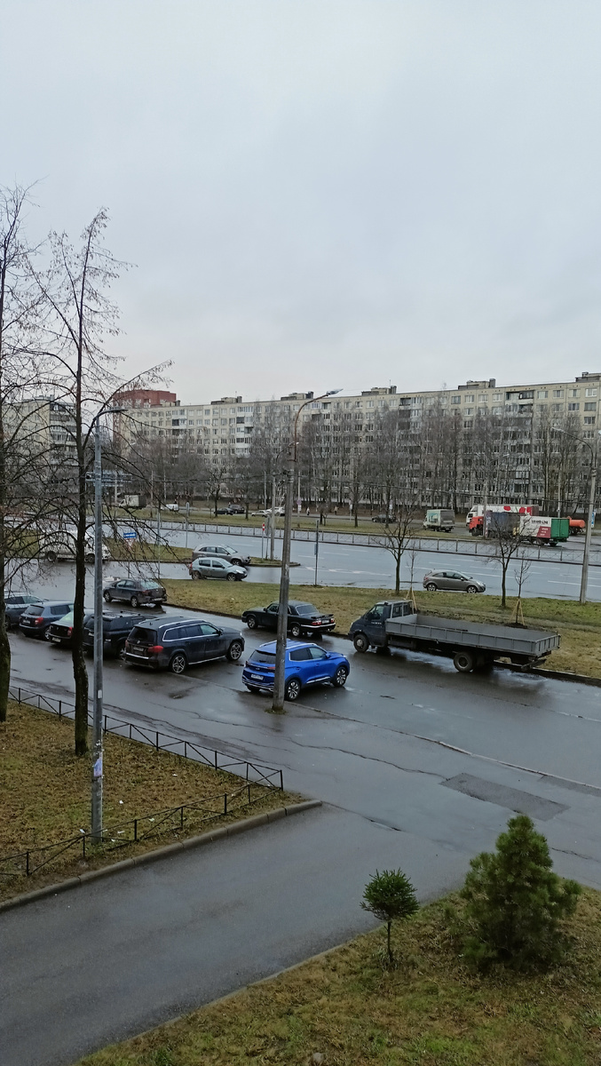 Фото автора. 17.12.25г СПб. 11,07