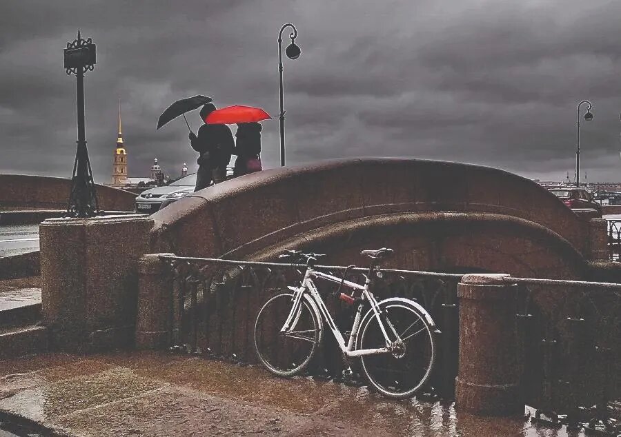 ФОТО Дмитрия СОКОЛОВА