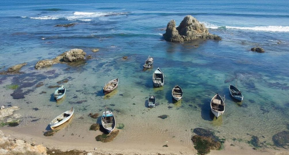 Тревожный сигнал природы: Мраморное море отступило на 20 метров, ученые предупреждают о мощном землетрясении