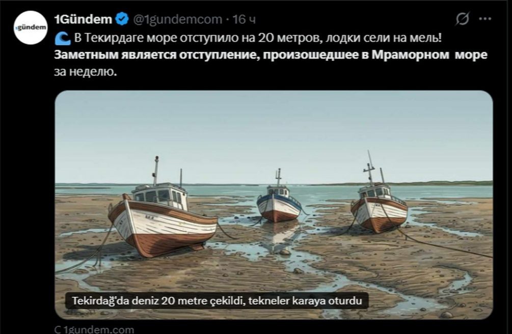   Иллюстрация: соцсети, скриншот, перевод.