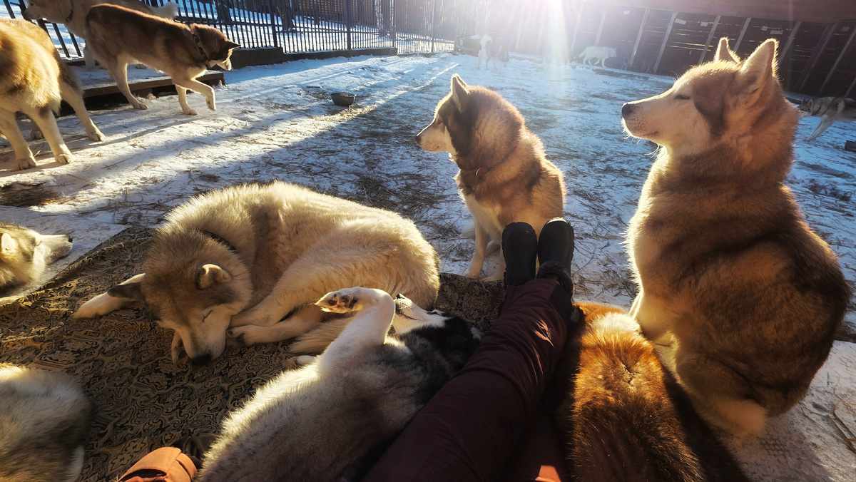 Всем нужно общение, стараются занять место рядом со мной