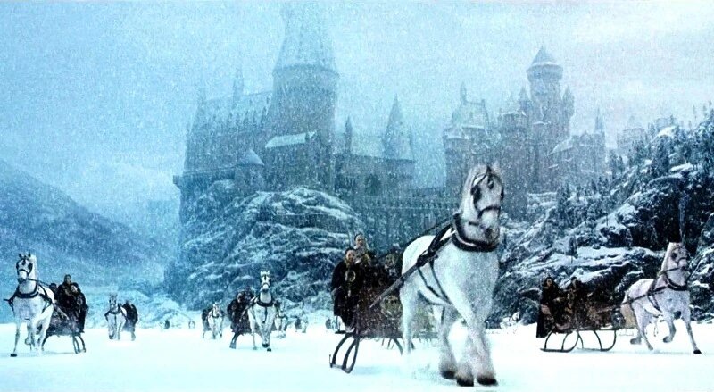 ⚡️ Гарри Поттер: самая волшебная битва года