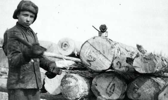 подросток за работой в тылу (фото из интернета)