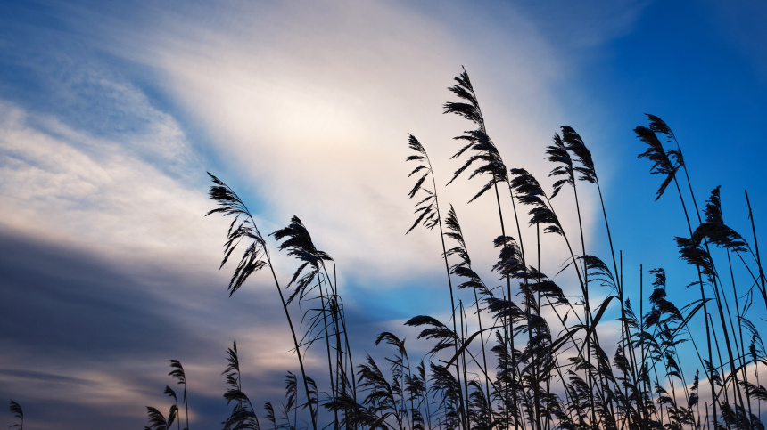    Фото: © РИА Новости/Алексей Даничев