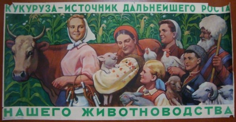 Агитационный плакат о пользе кукурузы как кормовой культуры