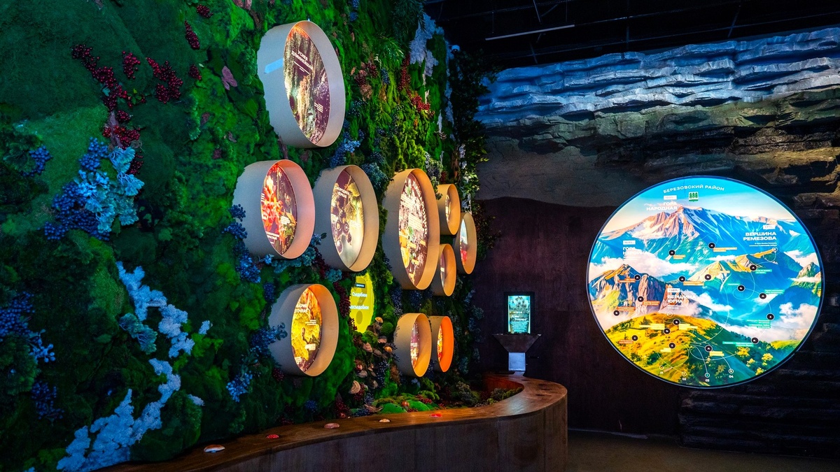    Филиал Национального центра «Россия» в Югре стал первым на Крайнем Севере