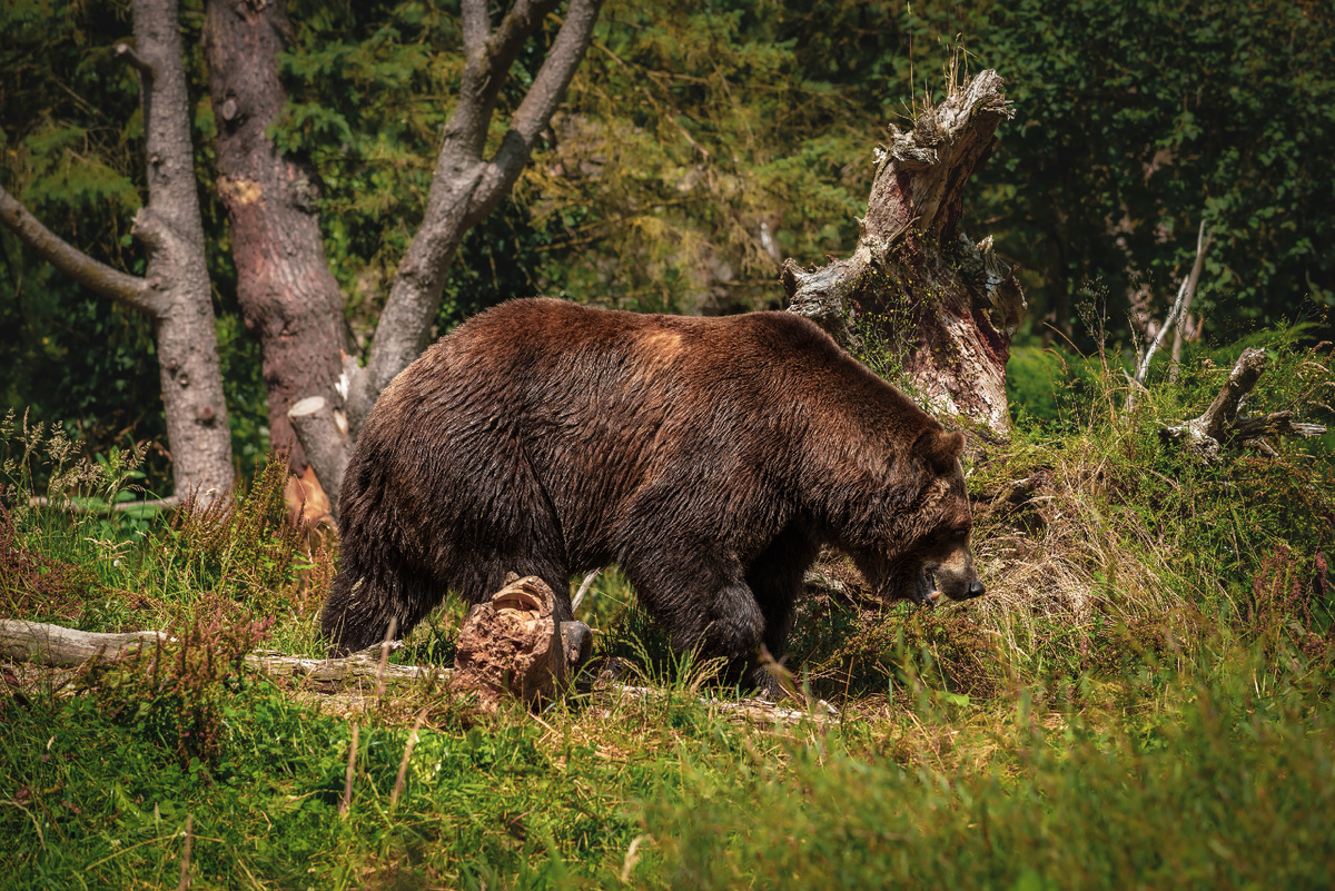 Изображение от wirestock на Freepik