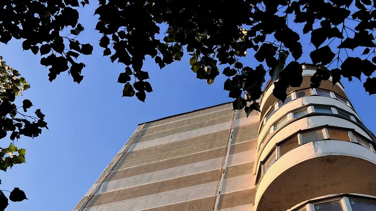    Анна Сальникова