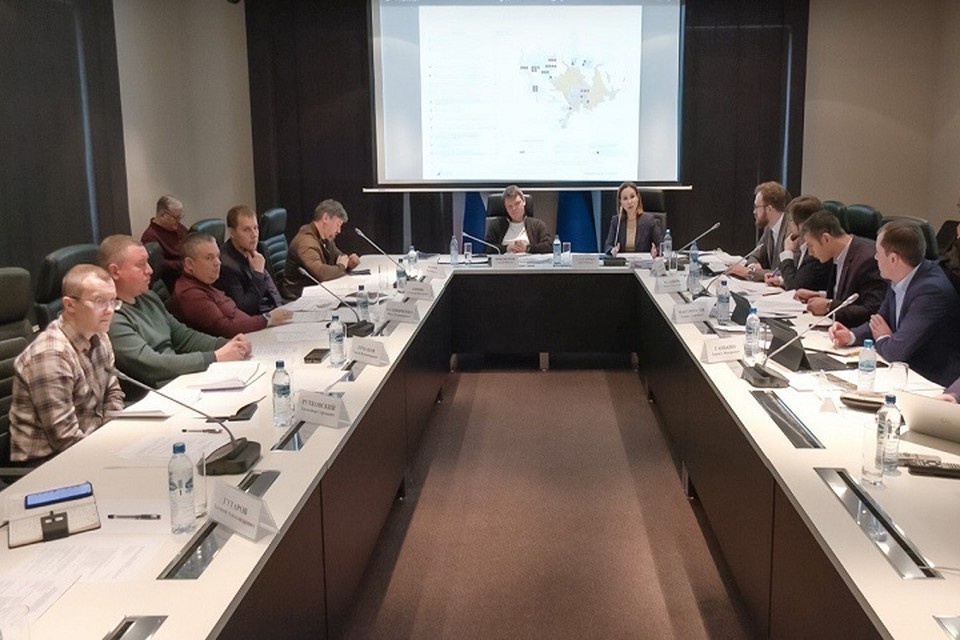    ЕИПП РФ представил проект генплана Горловки. Фото: ЕИПП РФ