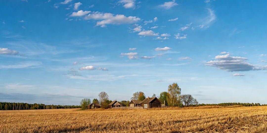 "Русские, вы что творите?!" — японец увидел обычную дачу под Тверью