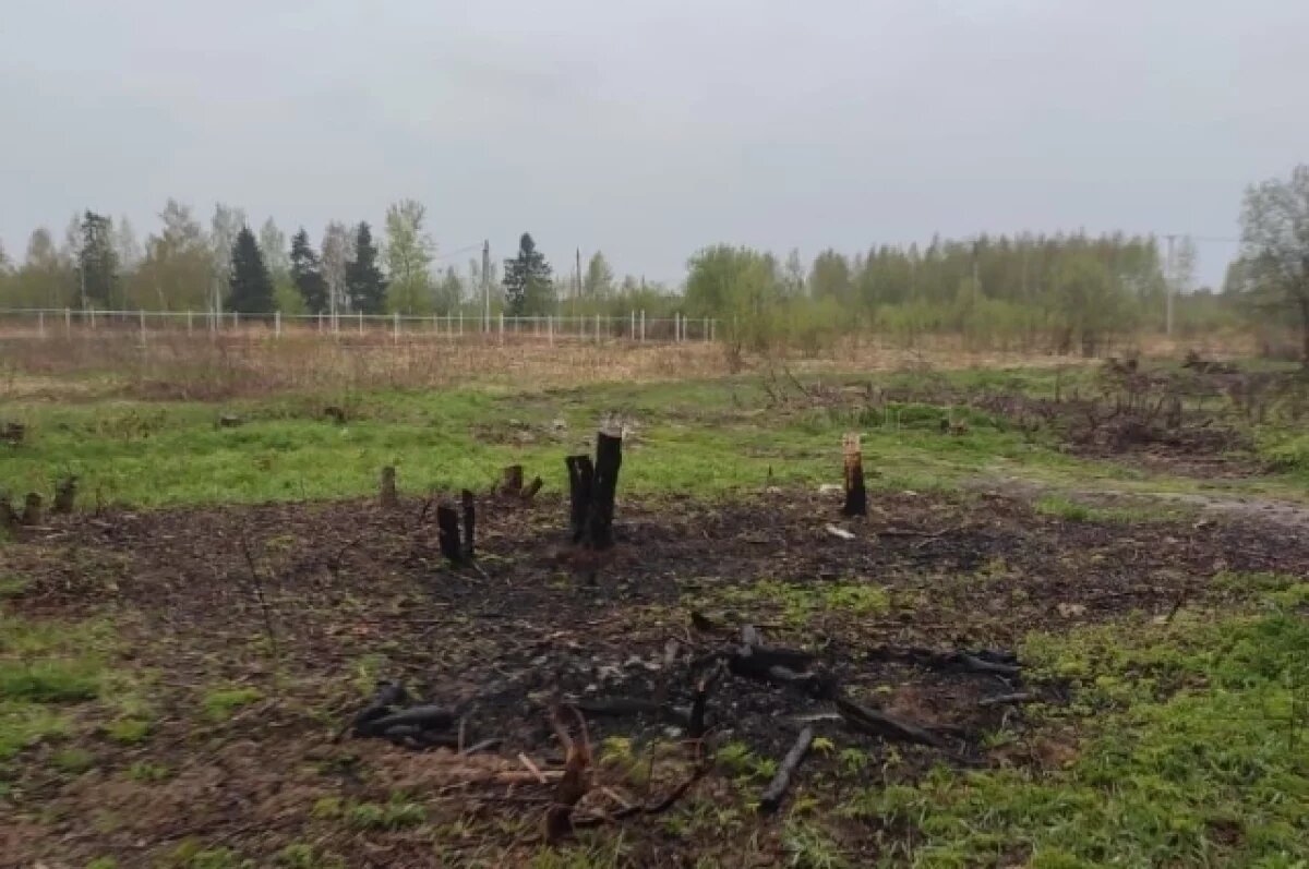    В Тверской области два землевладельца на 10 лет забыли про участки