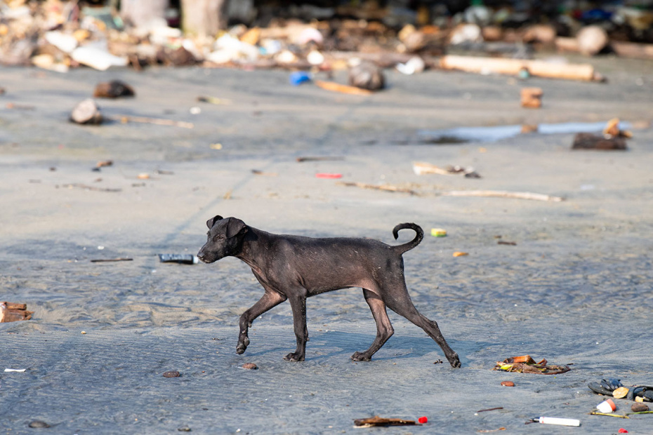    IMAGO/Zoonar/Berit Kessler/Global Look Press