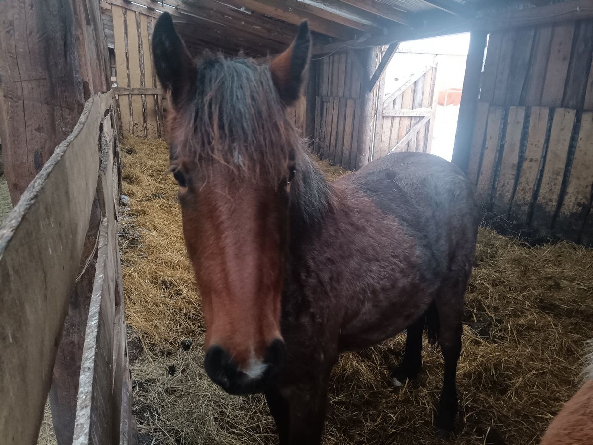 фото: личный архив Павла Верниковского