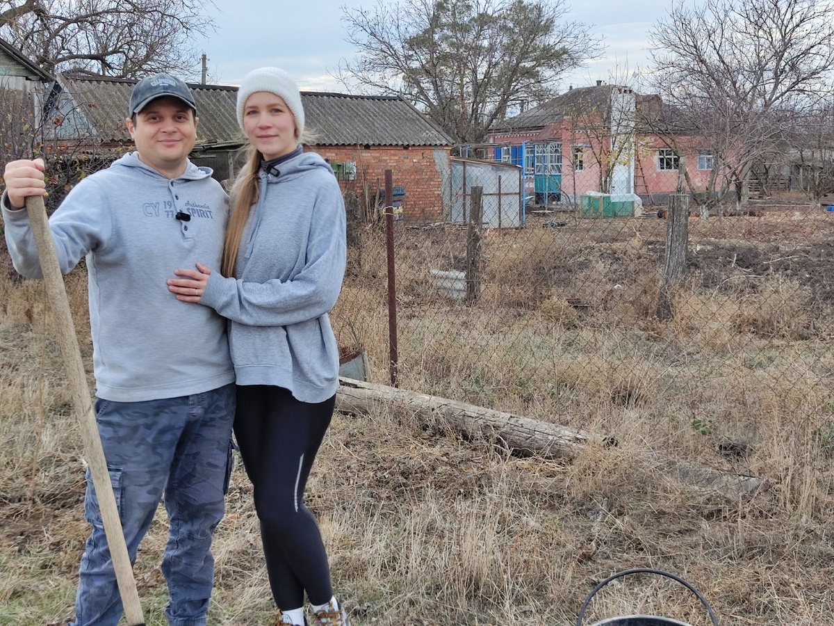 мы с мужем сажаем клены вокруг дома