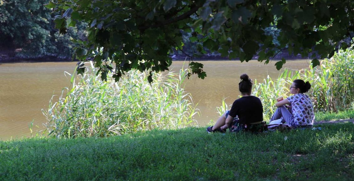    Фото: Правительство Ростовской области