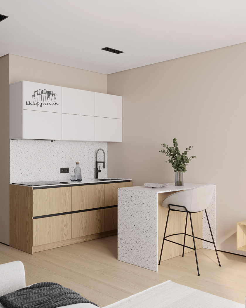 Шкафулькин 