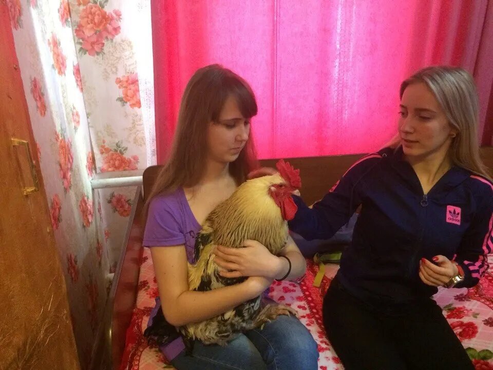 Доченька с ПАМПУШКОЙ и подружкой ВЕРОЙ!!! 9 января 2018г.