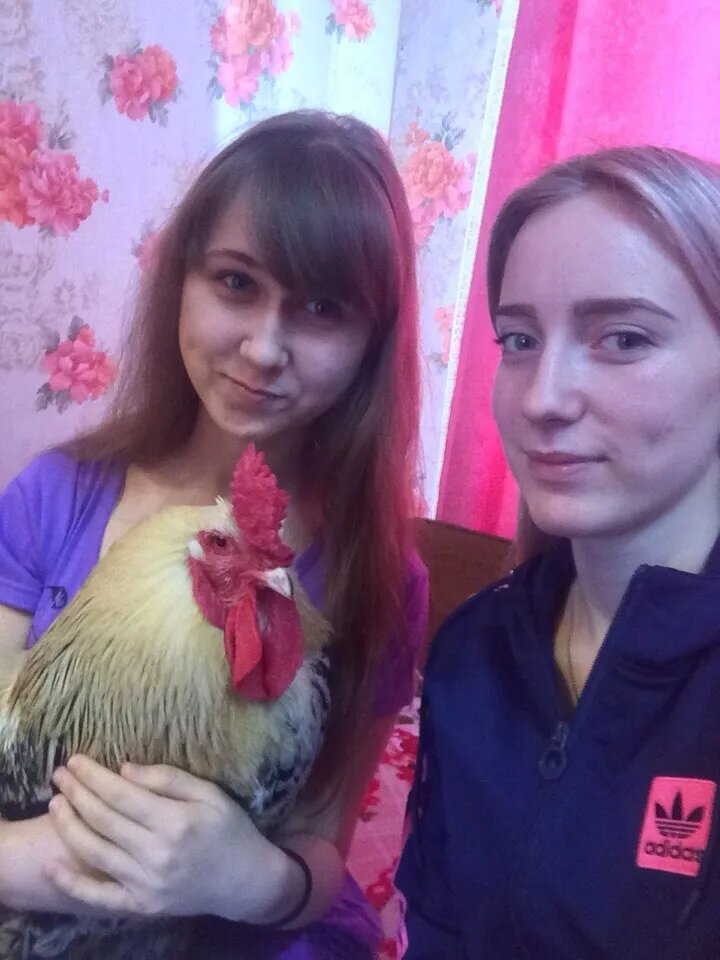 Какой КРАСАВЕЦ мой ПАМПУШКА.  9 января 2018г. Александра и Вера.💖