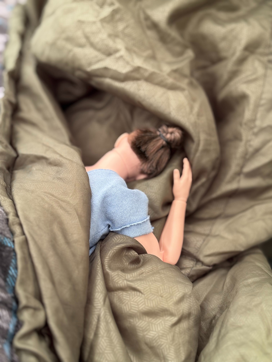 Алекс отрубился и никак не желал просыпаться