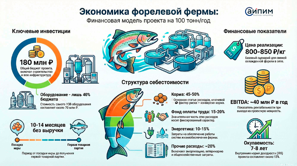Инфографика: ключевые аспекты проекта форелевой фермы | АИПИМ