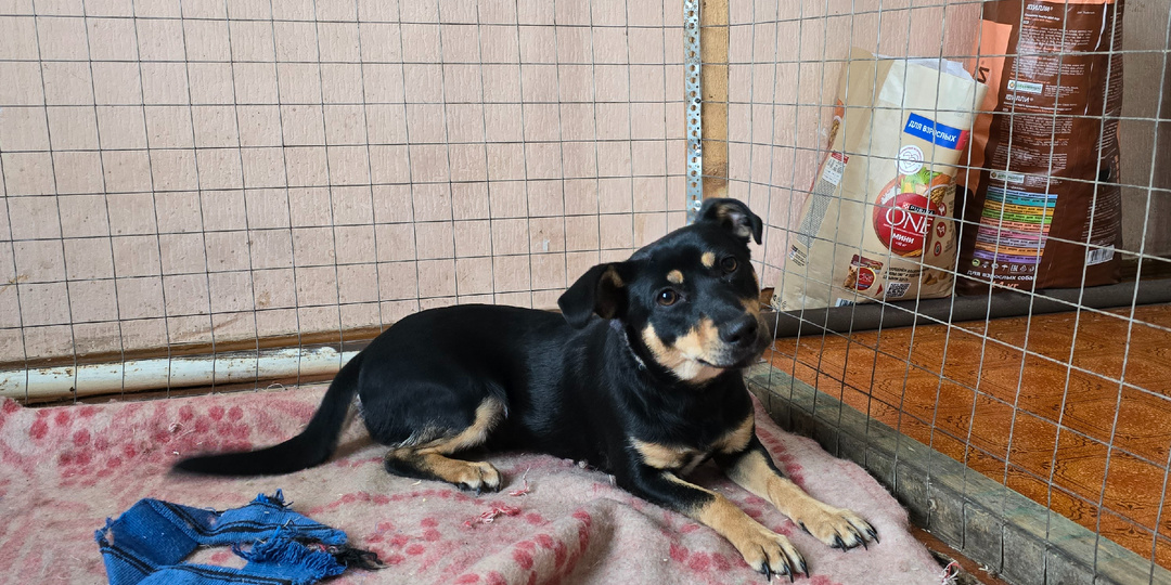 Фелиция знает. Просто молчит