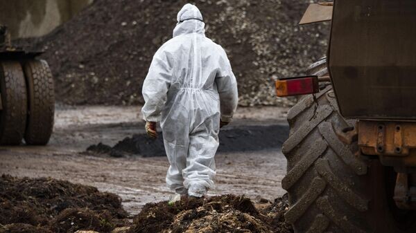    © РИА Новости Крым . Дмитрий Макеев