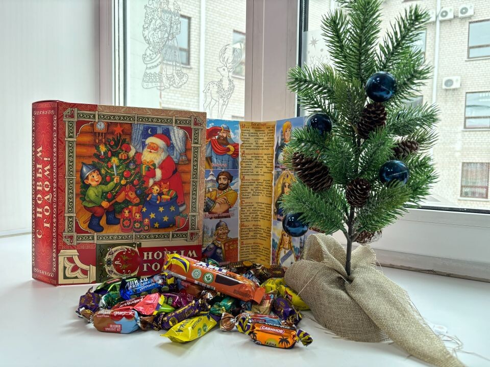    Новогодние подарки для детей Алтайского края. Источник: "Толк"