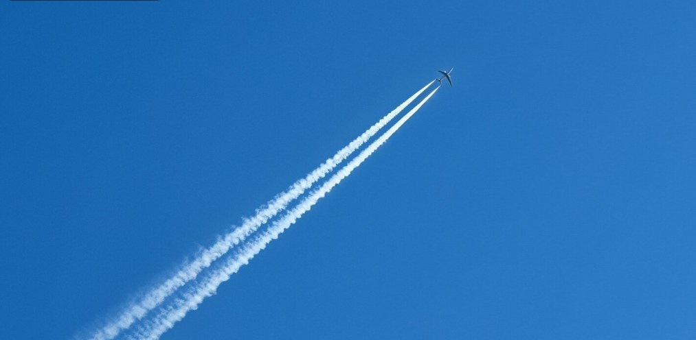    фото: фрипик