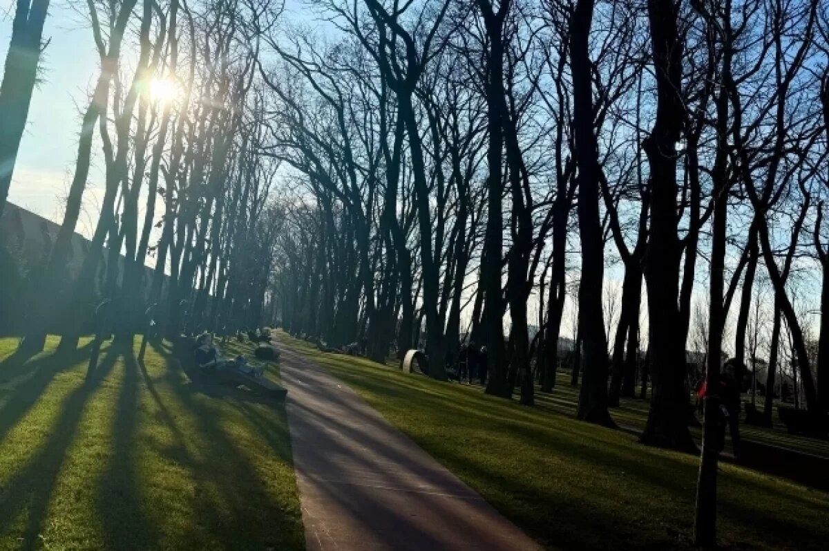    Оперштаб опроверг фейки об исках к Галицкому и строительстве храма в ЮМР