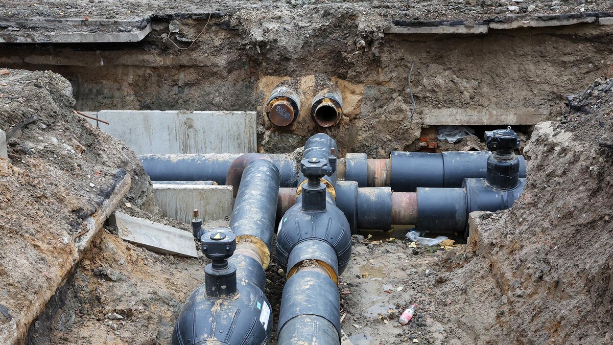    Фото: Belkin Alexey/globallookpress.com