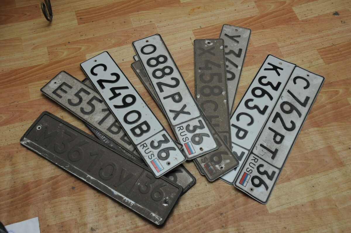    Фото: Александр Зинченко