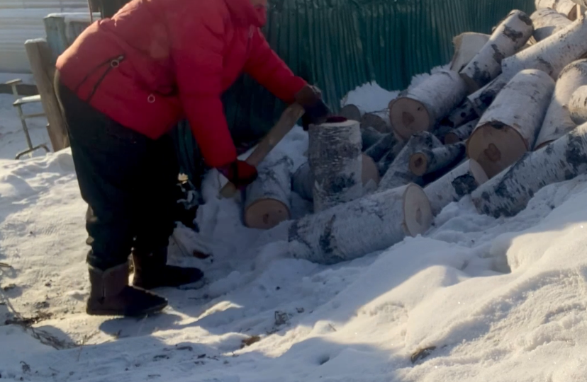 Купила дрова