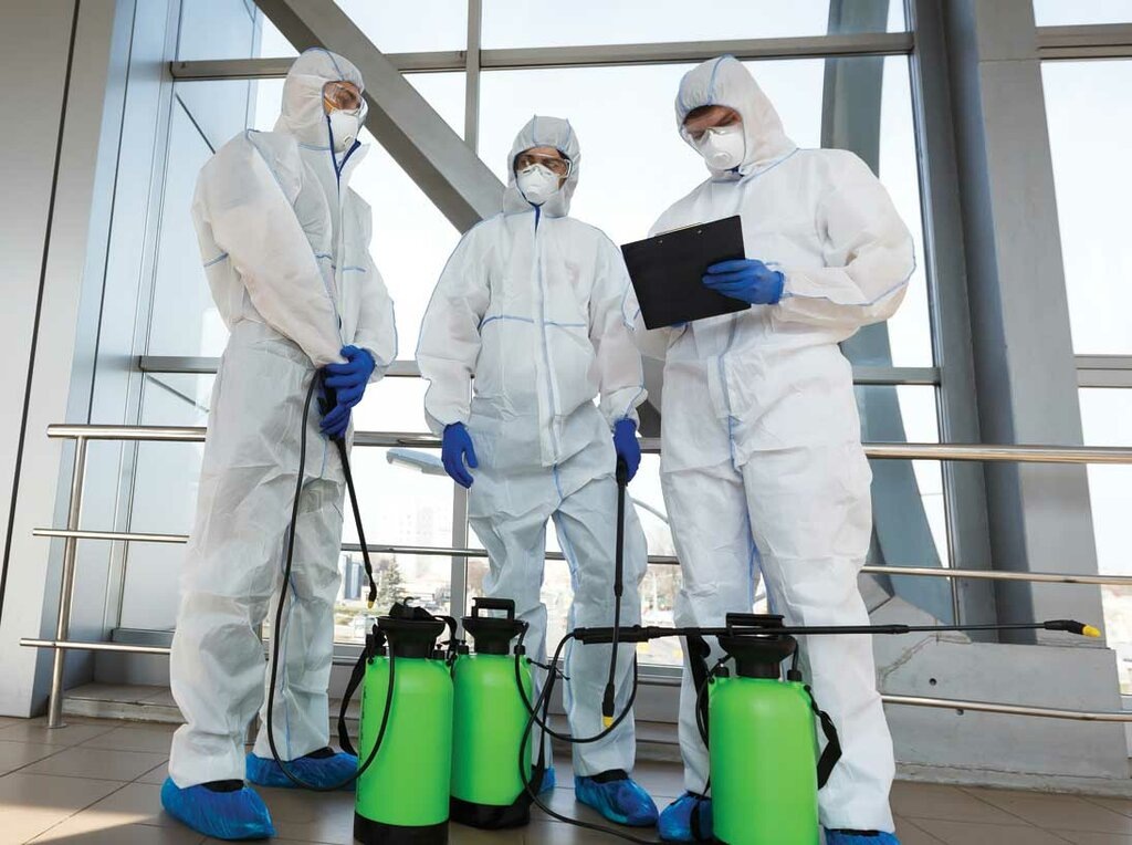 Безопасна ли профессиональная дезинсекция для детей и домашних животных? Размышления энтомолога

