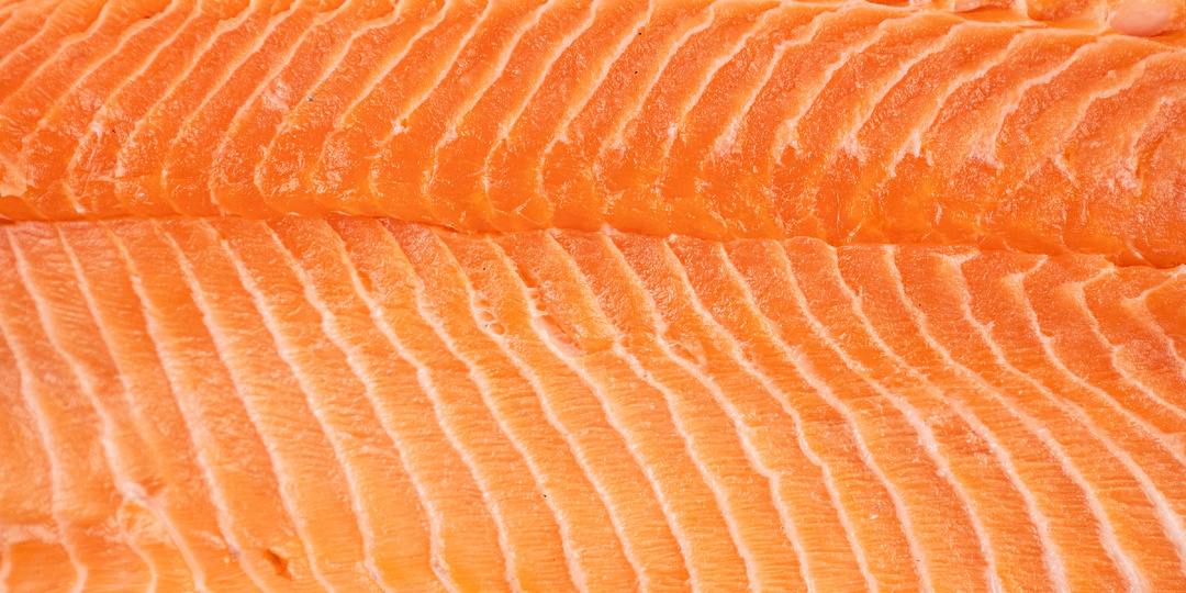 Мурманский лосось