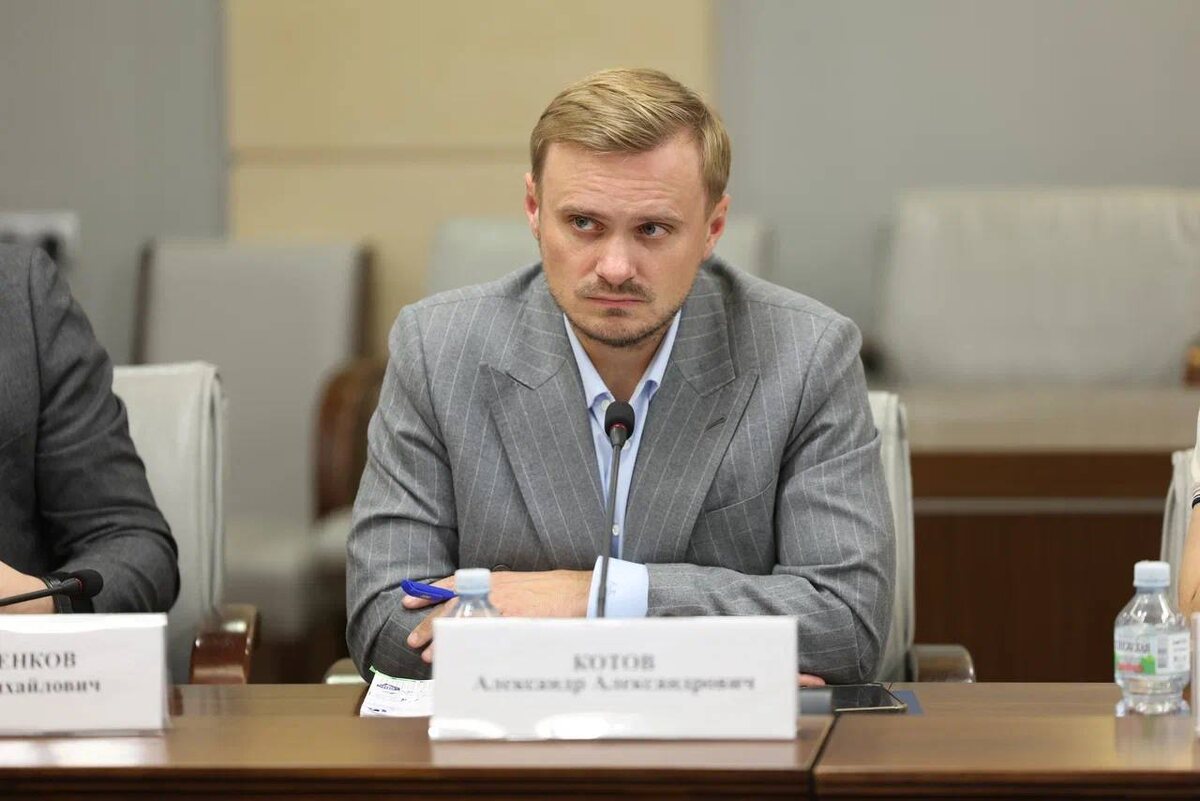 Директор «Центра развития законодательства» Александр Котов 