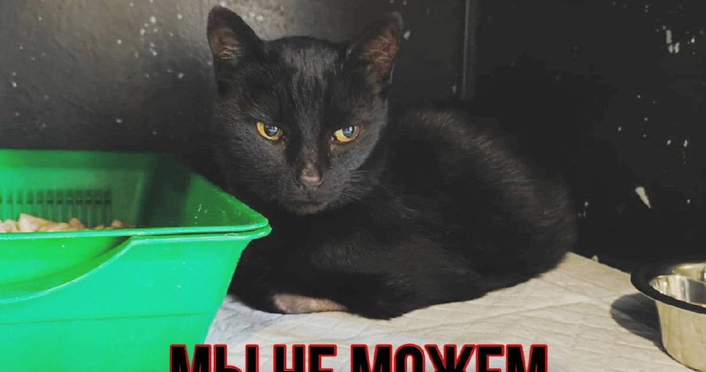 Ситуация сос