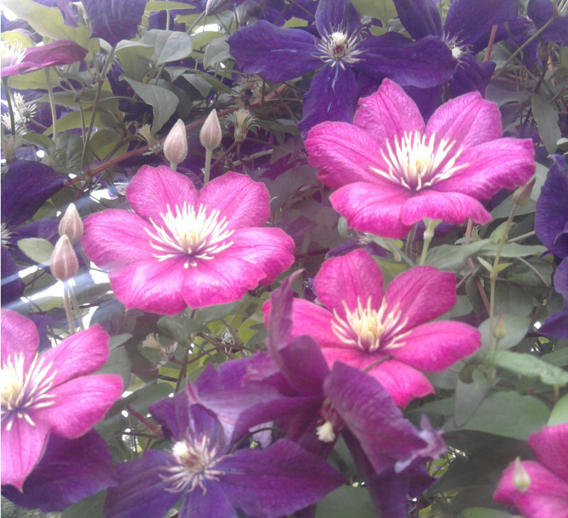 давнее фото