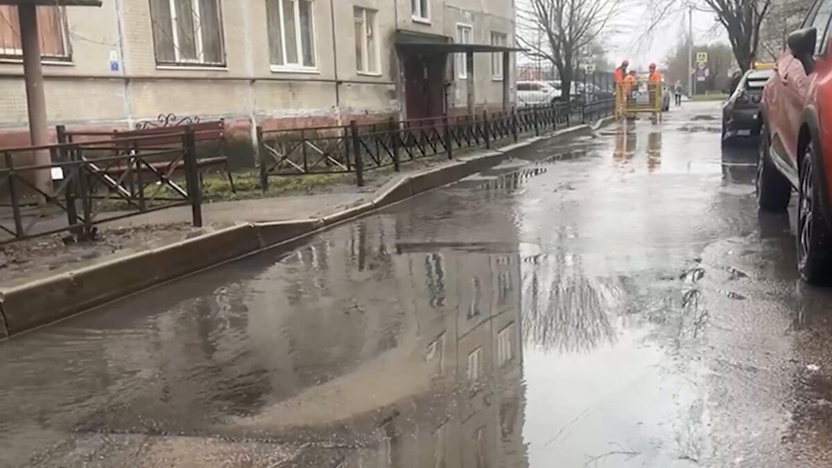   Фото: 78.ru