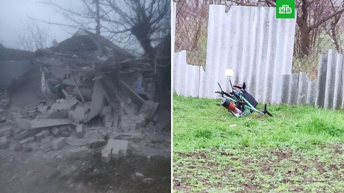    Фото: SALDO_VGA / t.me