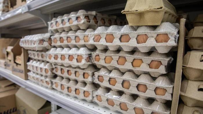 Обложка © Life.ru