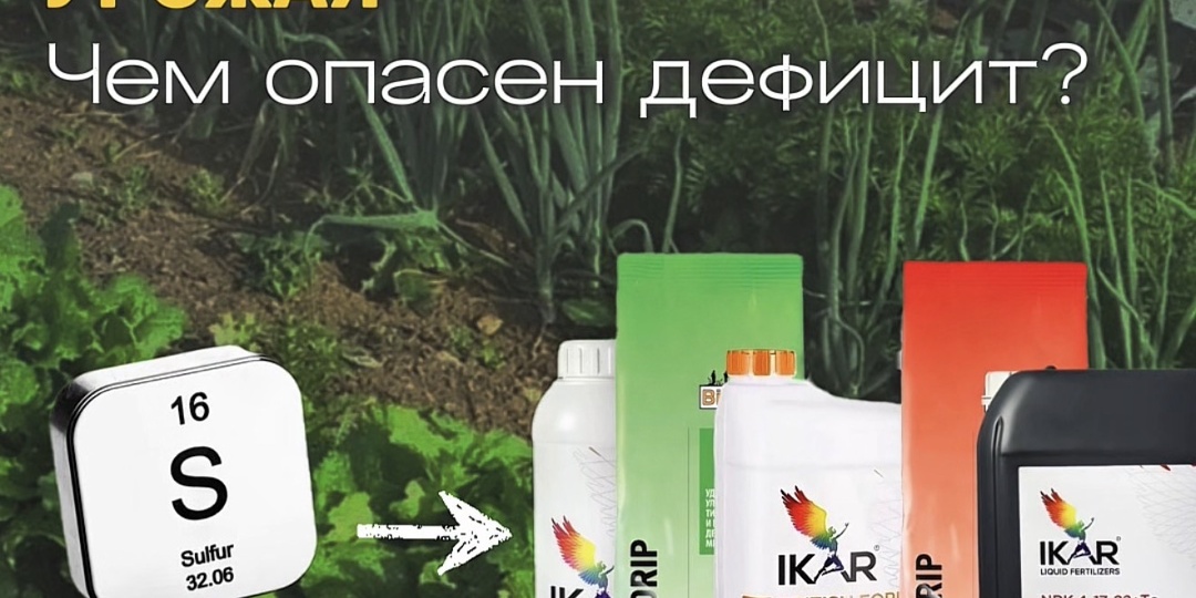 КАК СЕРА ВЛИЯЕТ НА КАЧЕСТВО И КОЛИЧЕСТВО УРОЖАЯ. Чем опасен дефицит серы?