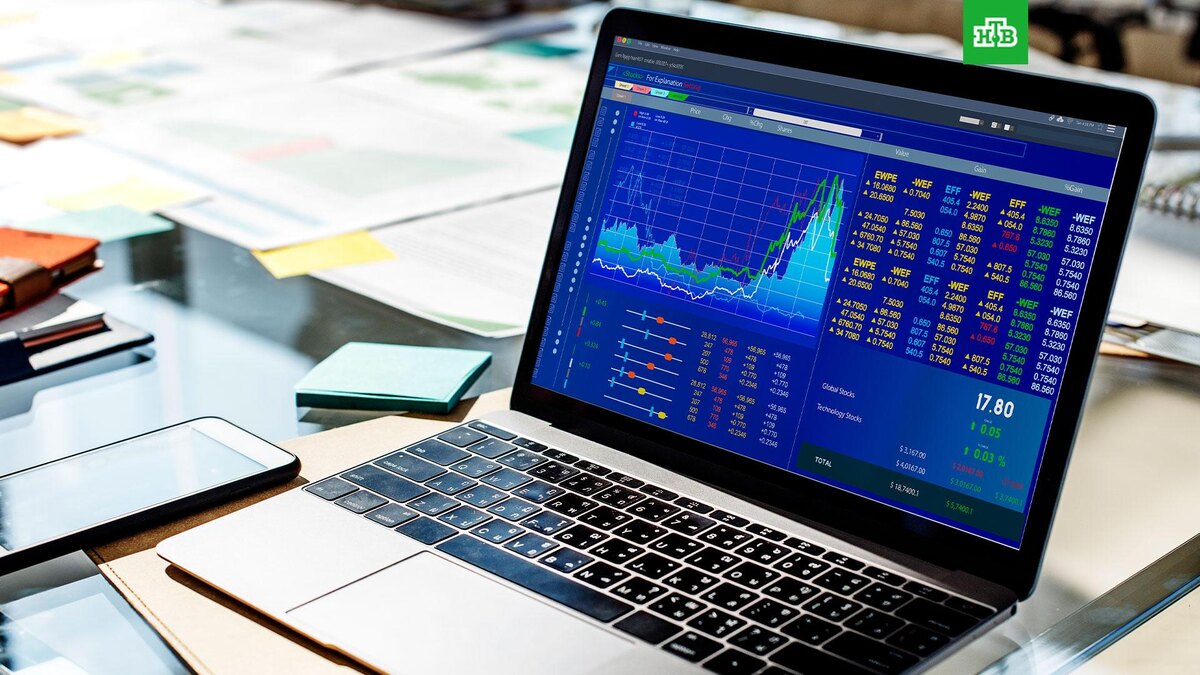    Фото: freepik.com