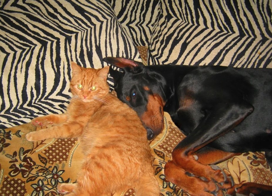 Любимая Зайка и Филя