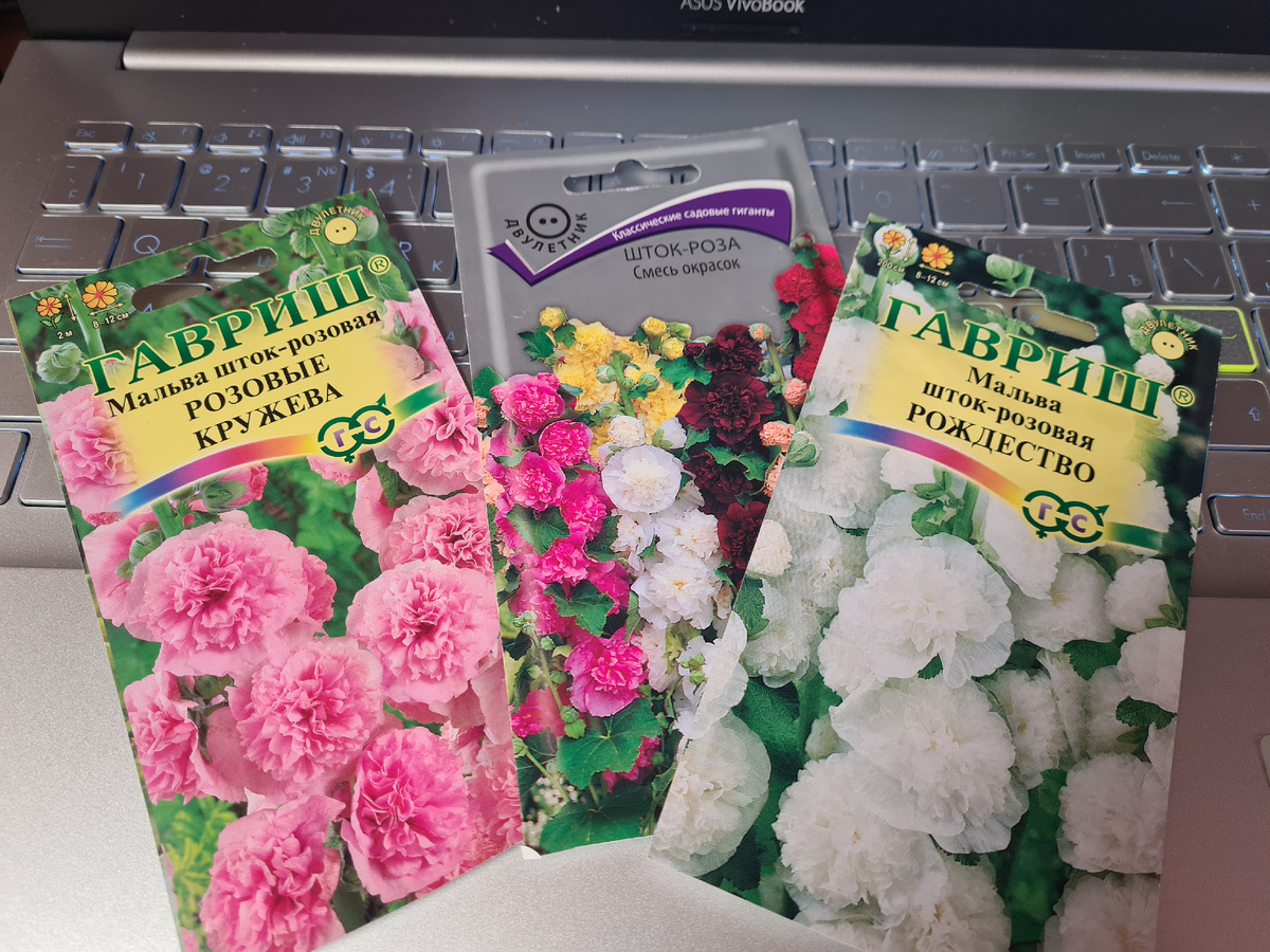 Запаслась семенами махровой мальвы, планирую вырастить в году.  Фото из личного архива.