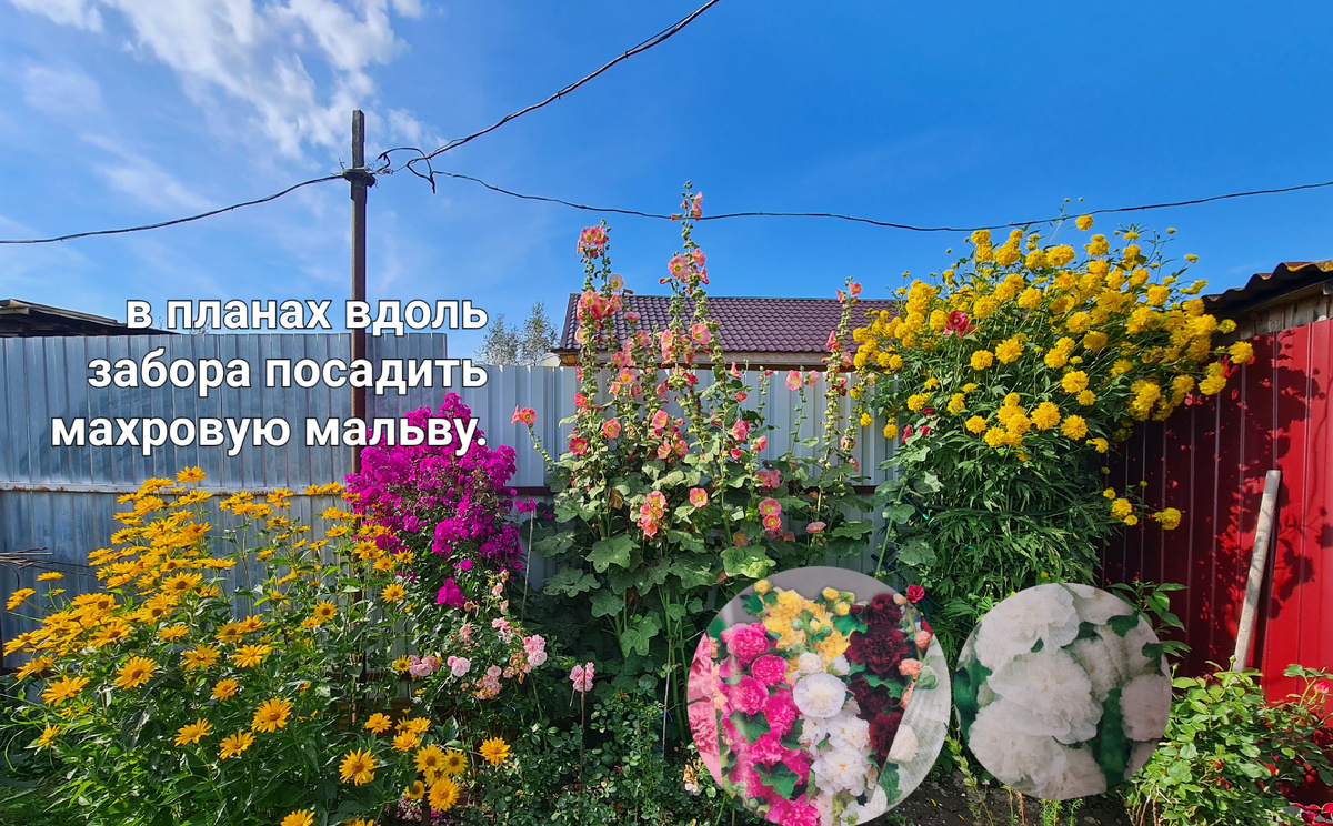 Мои планы на 2026 год.