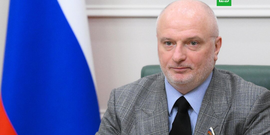 В Совфеде предложили проверить судей, выносивших решения в пользу Долиной